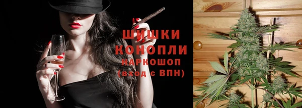 PSILOCYBIN Нефтегорск