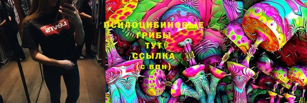 крисы Нефтекумск