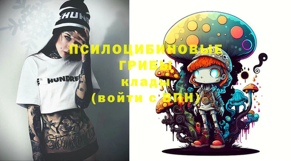 PSILOCYBIN Нефтегорск