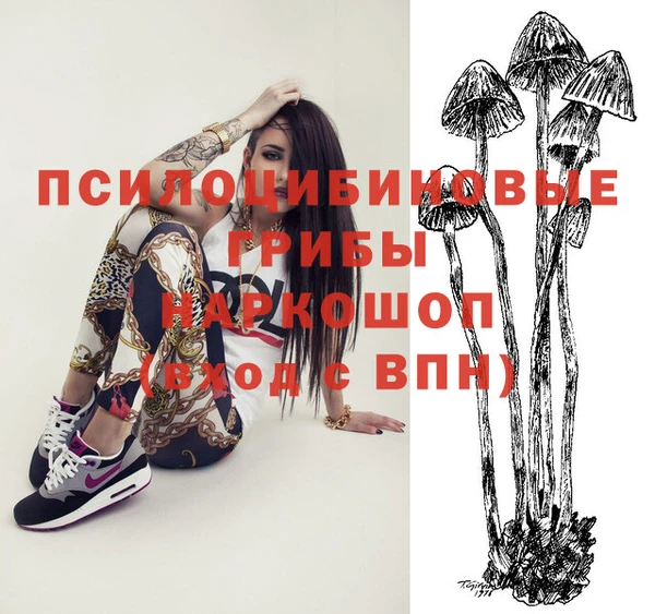 PSILOCYBIN Нефтегорск