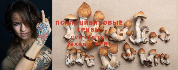 PSILOCYBIN Нефтегорск